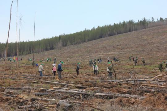 egov-buryatia.ru